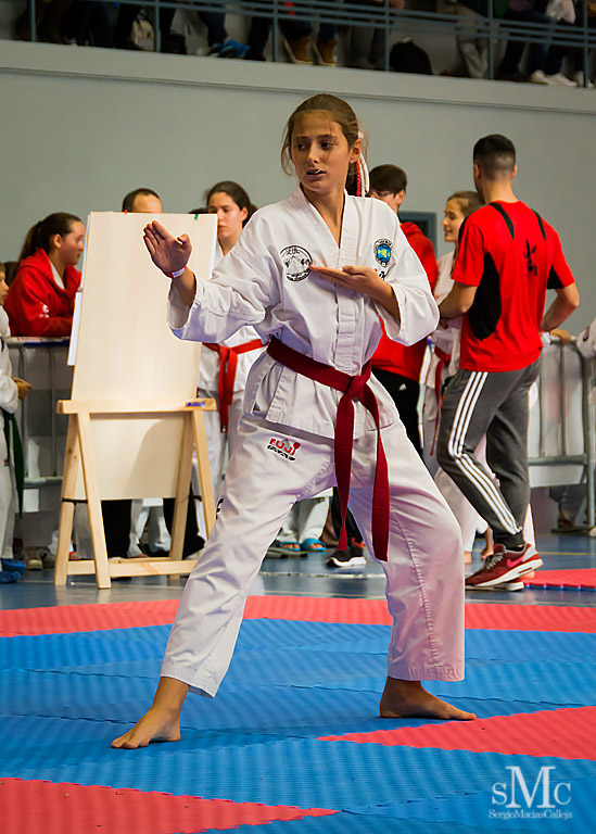 COPA SEUL, 2017  (87).JPG